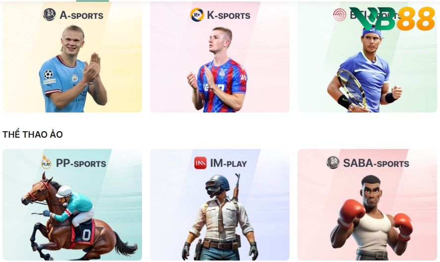 Trò chơi cá cược thể thao và thể thao điện tử esport